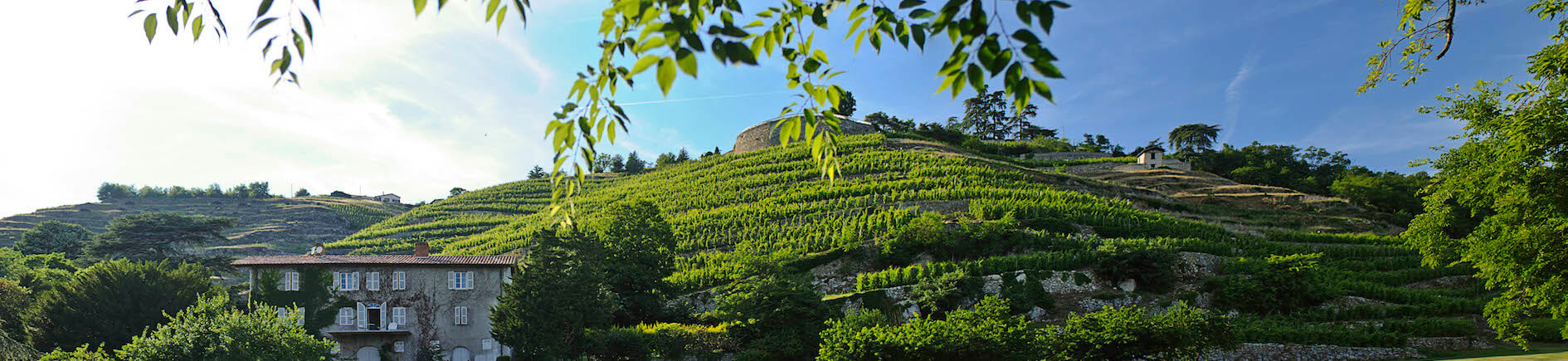 Côtes du Rhône Nord